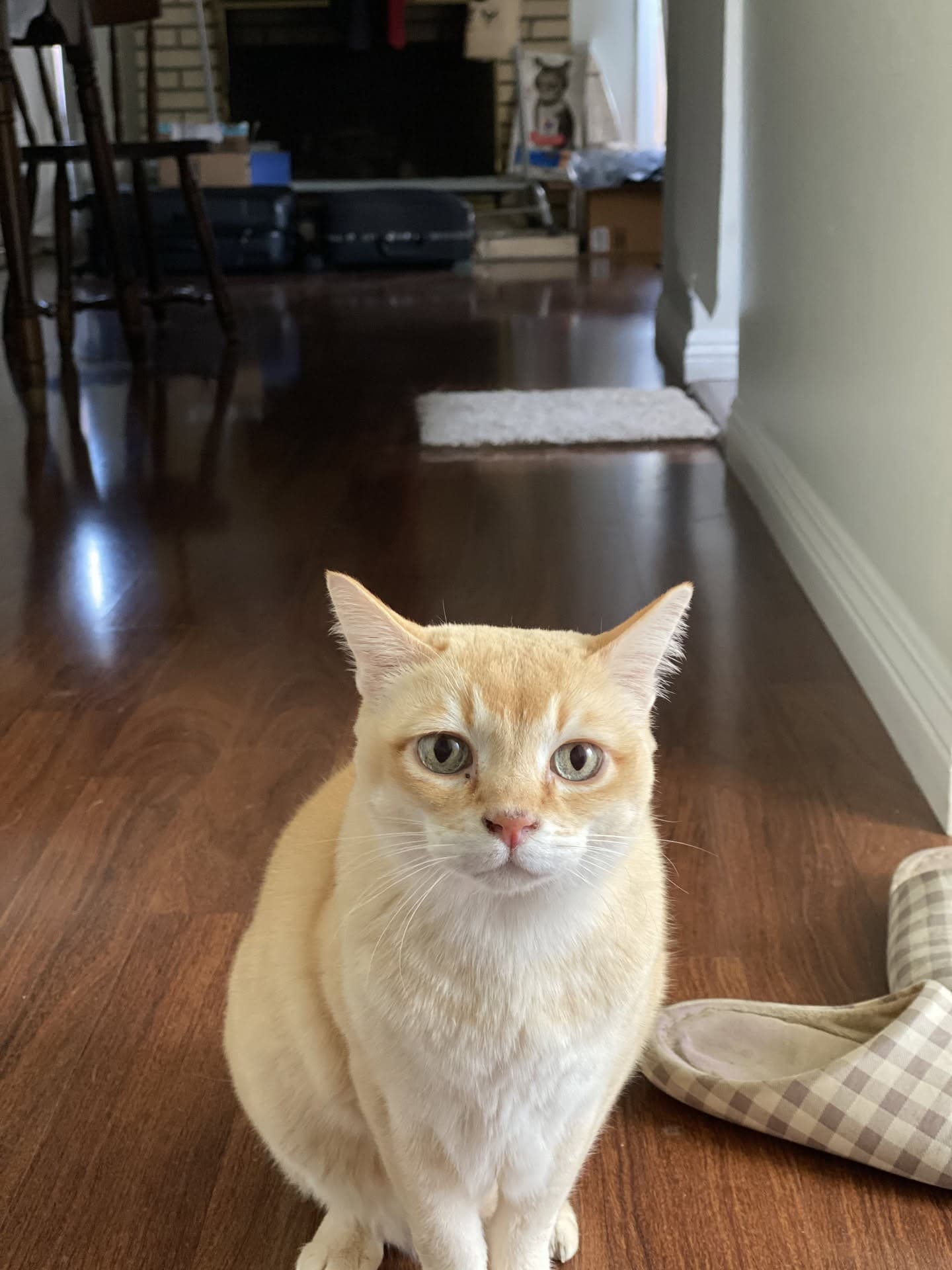 Mon Mon sitting in the hallway near his bed